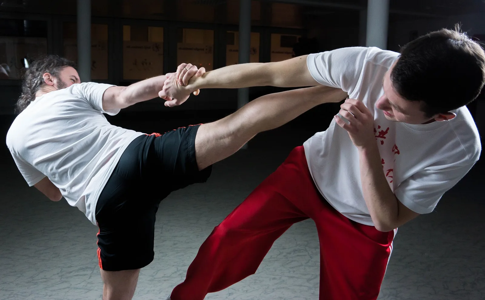 Body.Mind Ljubljana - Fung fu in Qi gong – naslovna fotografija