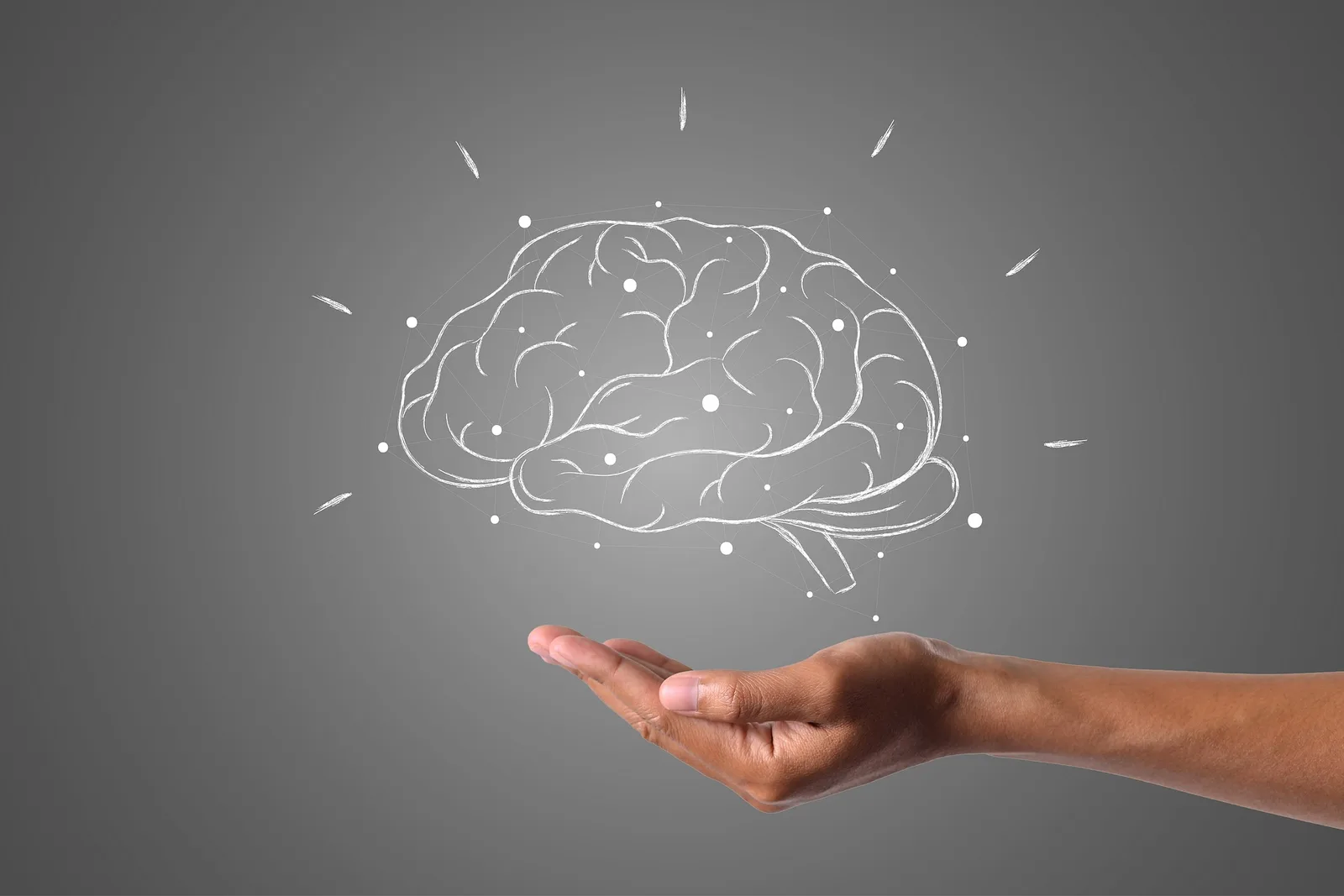 Brainobrain – fotografija dejavnosti