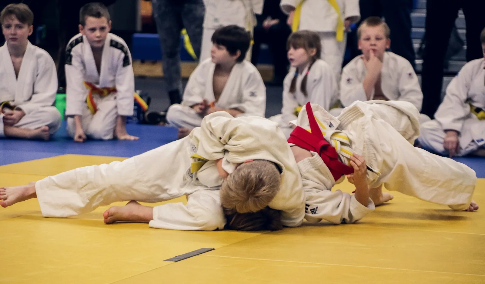 Bushido - Judo klub – naslovna fotografija