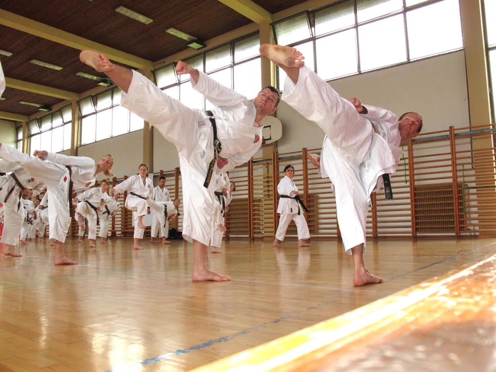 Karate - do klub Atom Domžale – naslovna fotografija