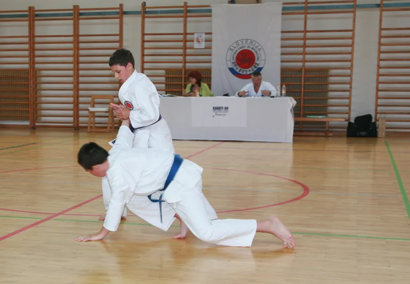Karate - do klub Atom Domžale – fotografija dejavnosti