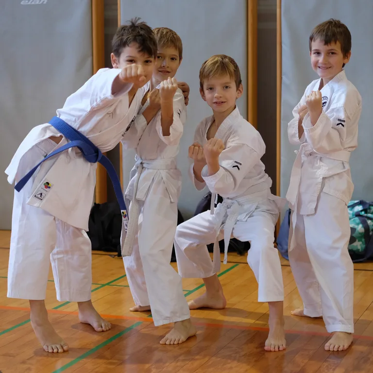 Karate klub Lev - karate vrtec – fotografija dejavnosti