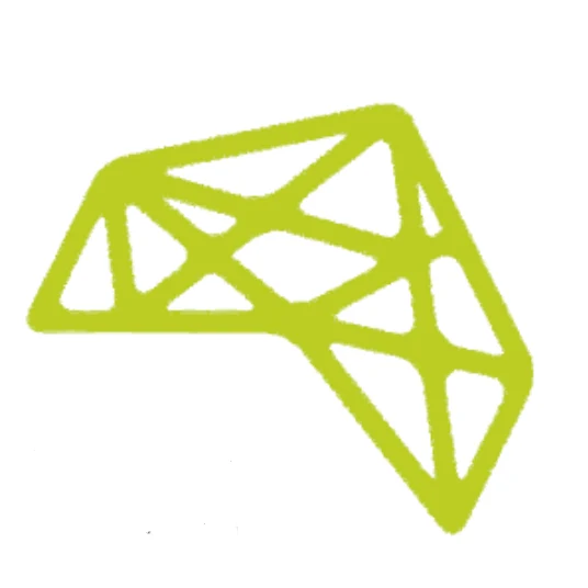 Plezalno društvo Prava smer – logotip