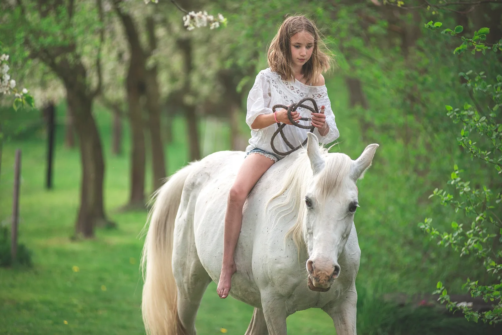 Poniji s klanca - konjeniški krožek – naslovna fotografija