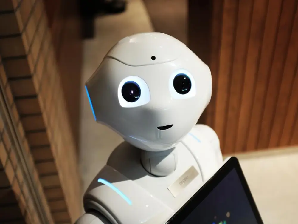 Simbolna fotografija: programiranje in robotika
