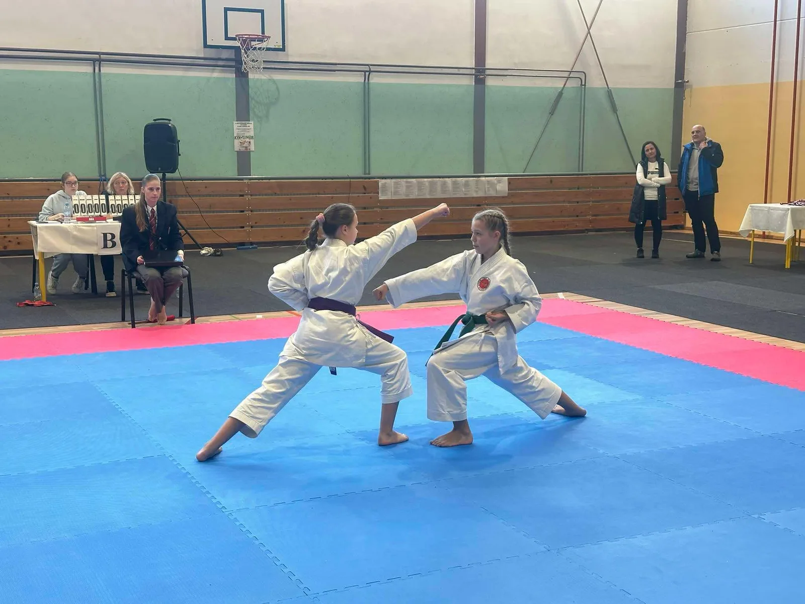 Ruše karate-do – naslovna fotografija